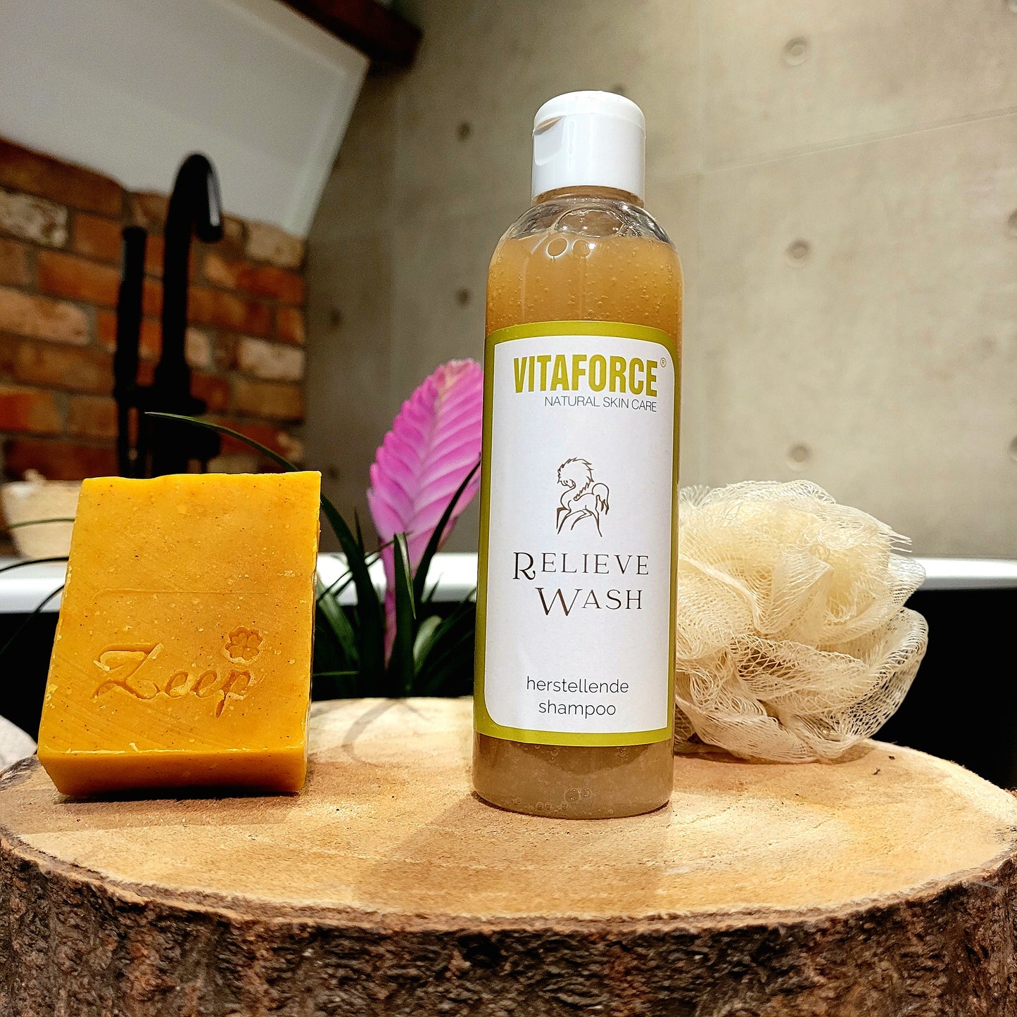 Vitaforce Huid & Haar Set