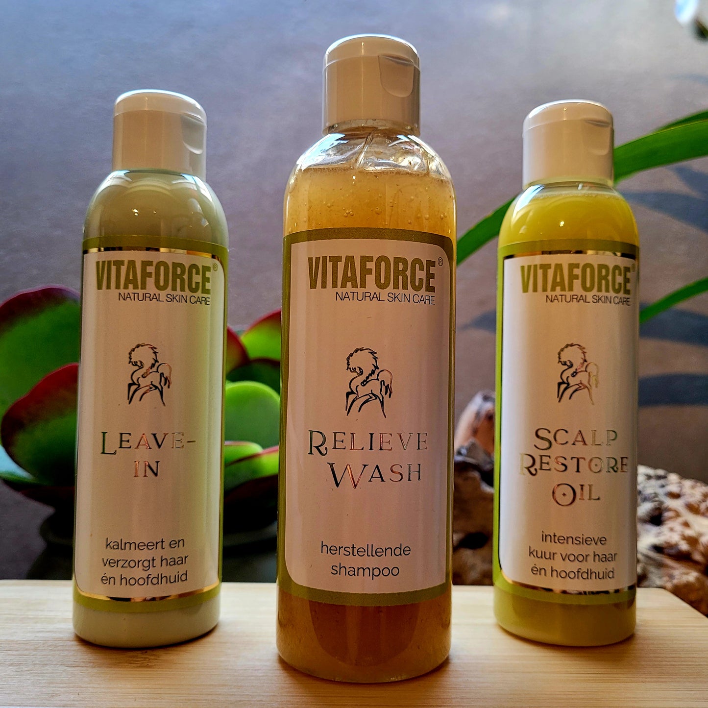 Vitaforce Hoofdhuid & Haar Herstel Set