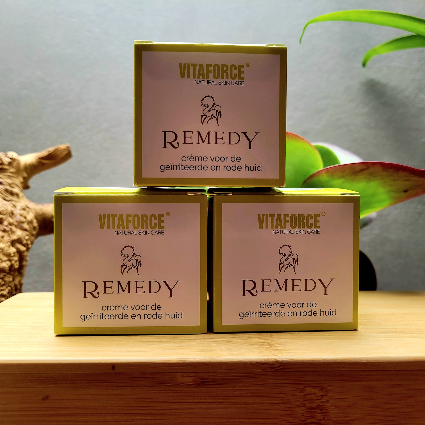 Vitaforce Remedy (50ml)