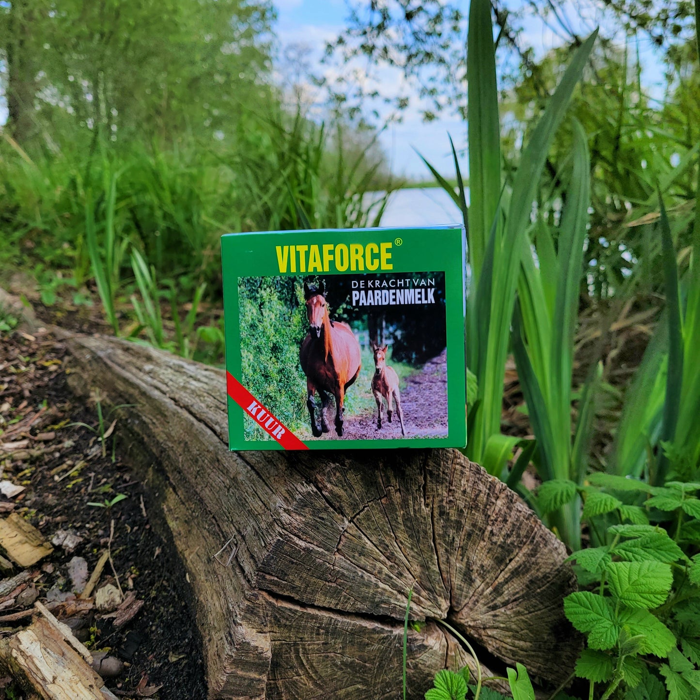 Vitaforce Gedroogde Paardenmelk